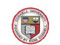 康乃尔大学